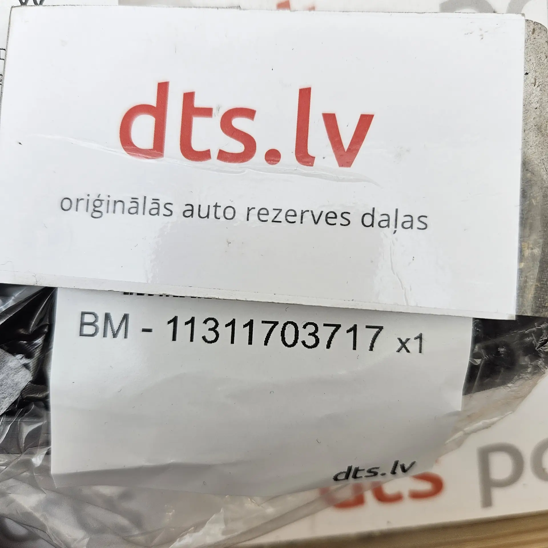 OEM BMW 11311703717 – Lower primary timing chain tensioner guide rail