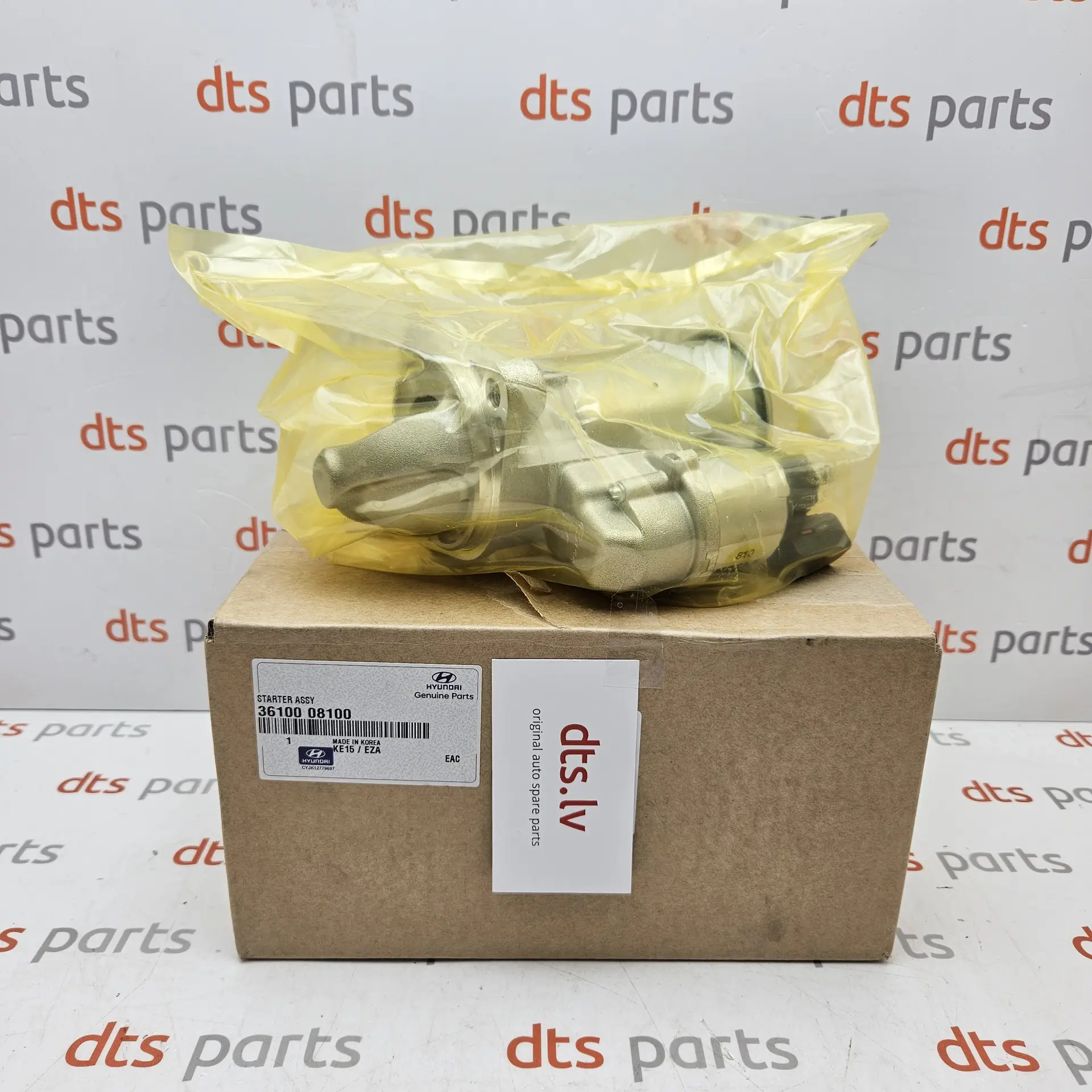 OEM Hyundai 3610008100 – Starter