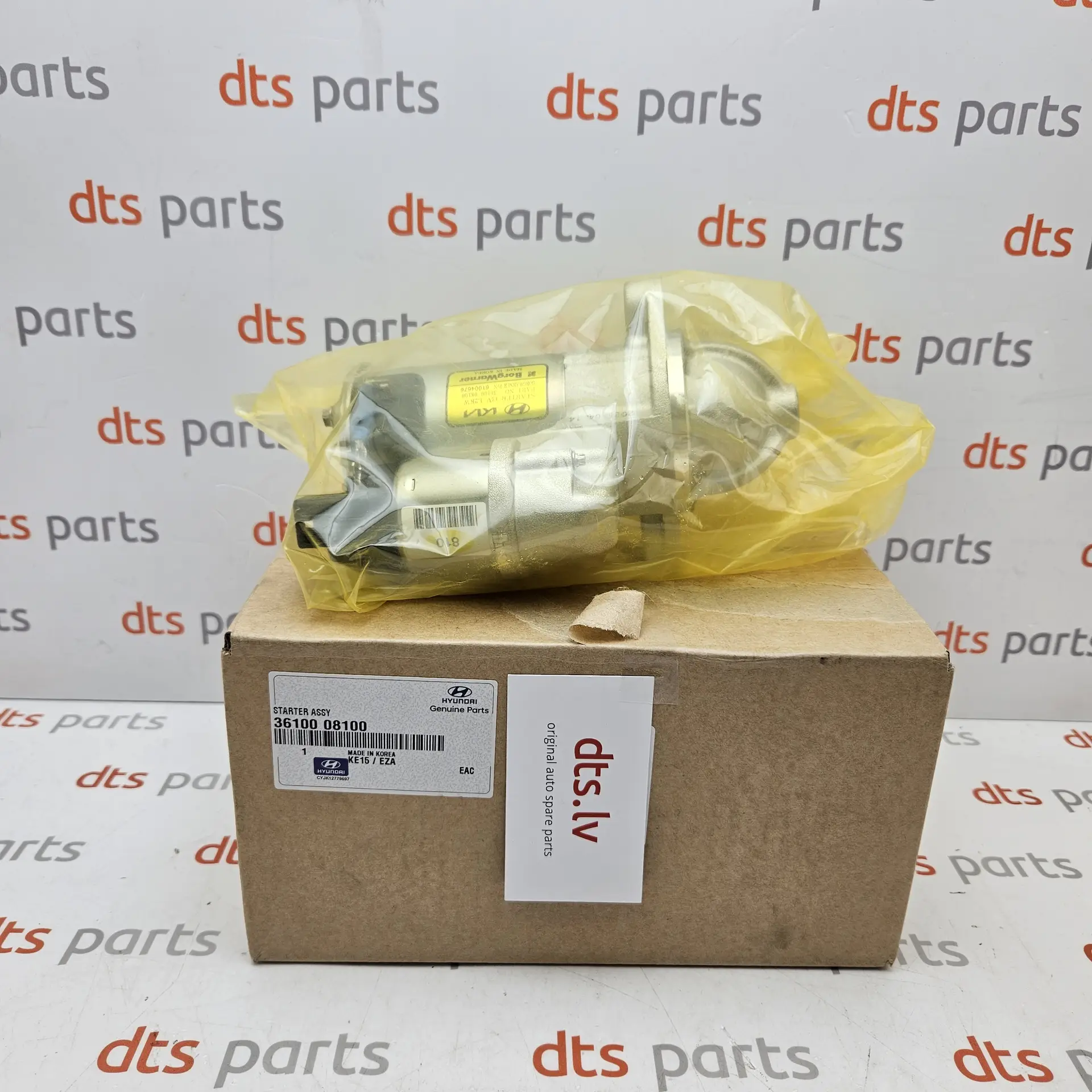 OEM Hyundai 3610008100 – Starter