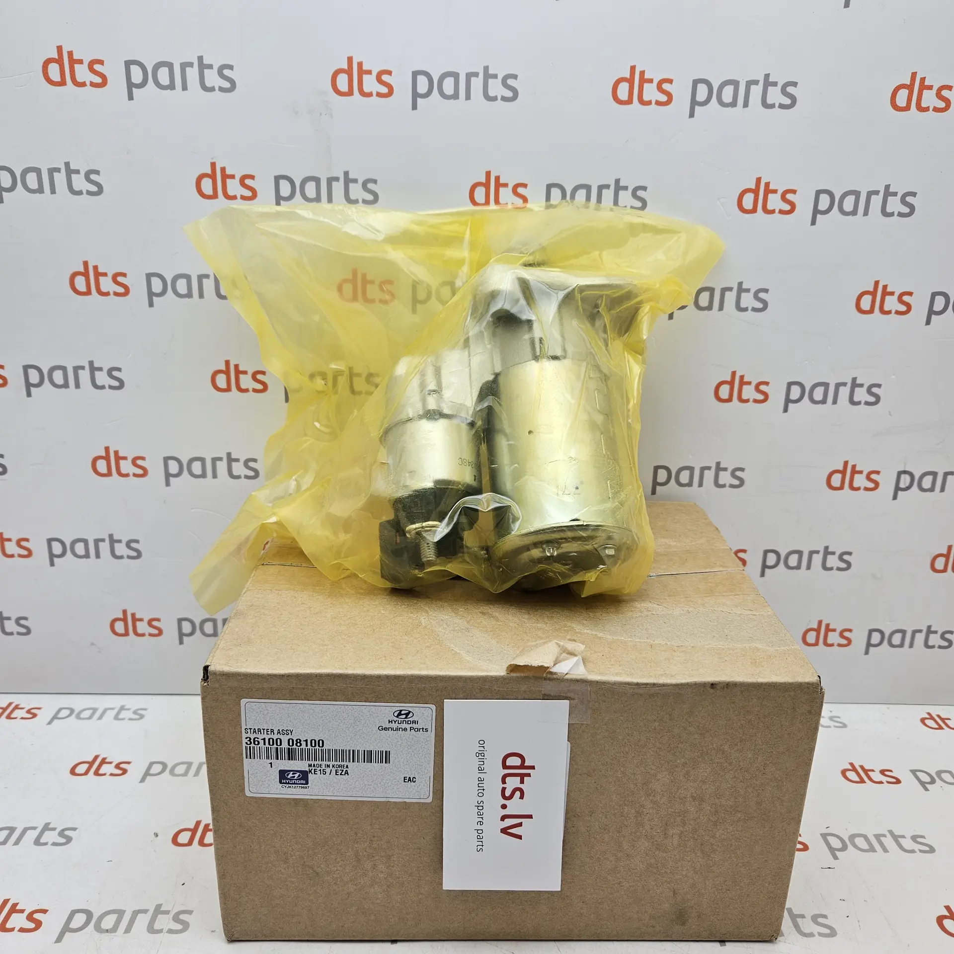 OEM Hyundai 3610008100 – Starter