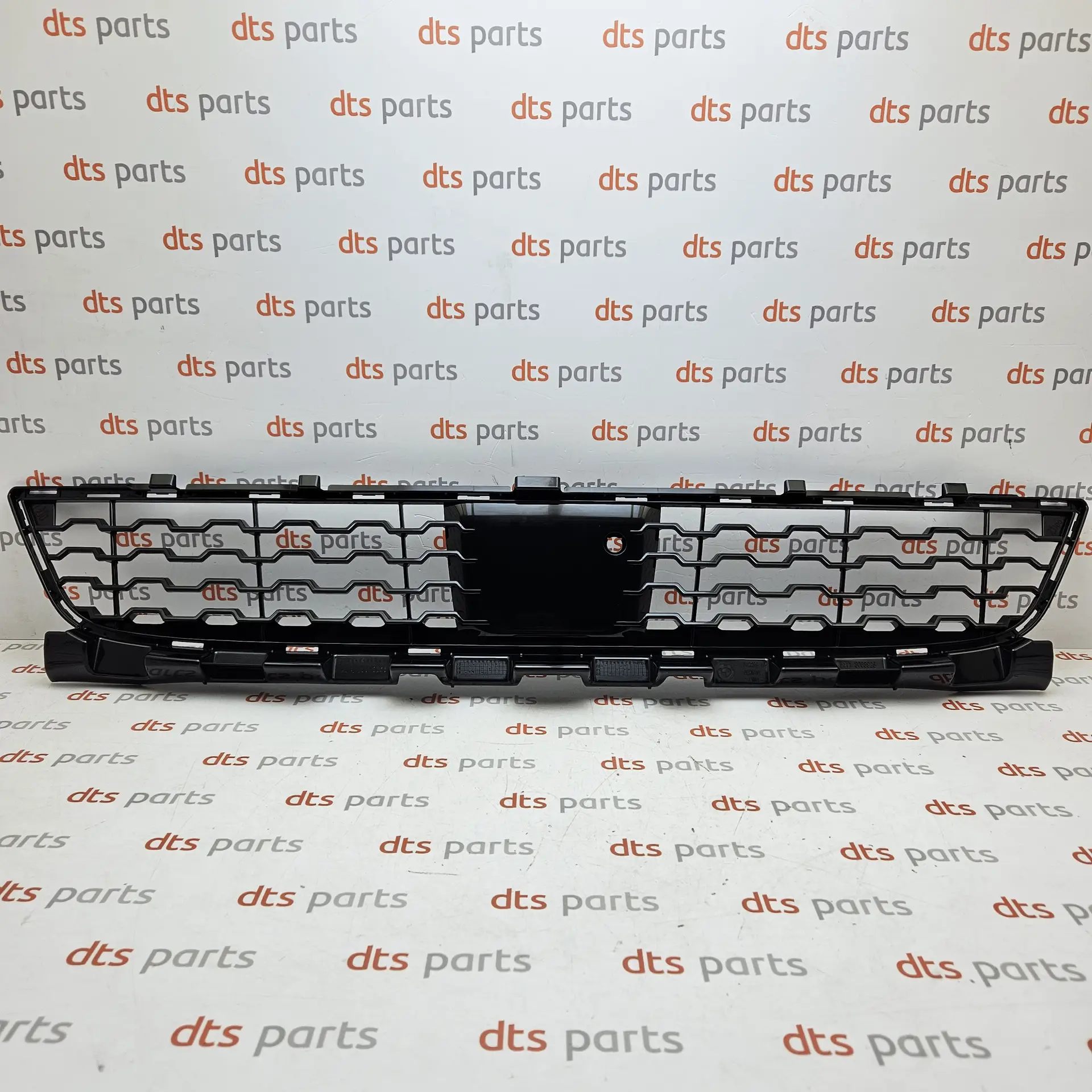 OEM BMW 51118061124 – Middle air intake grille