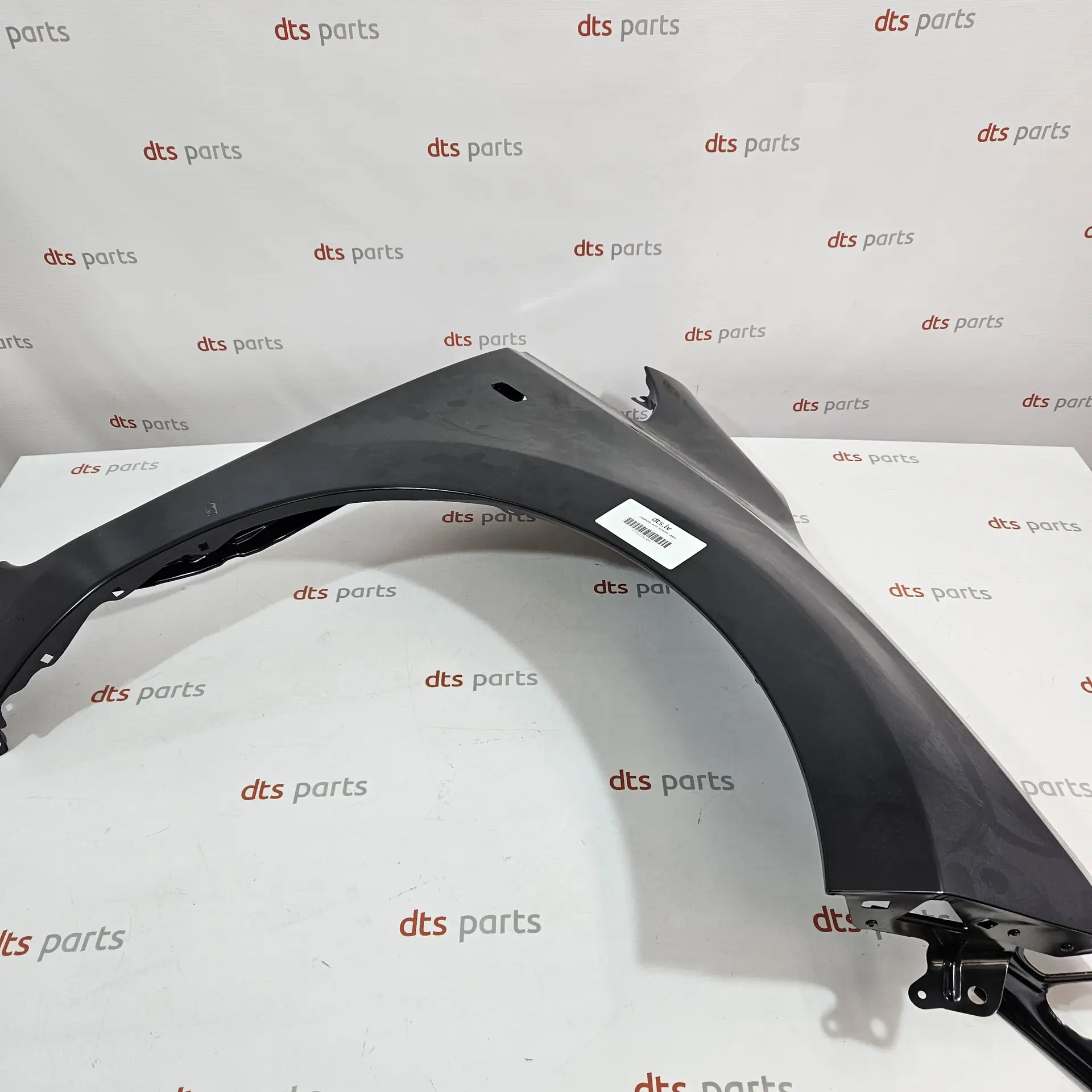 OEM Nissan F31013NLMA – Front left fender